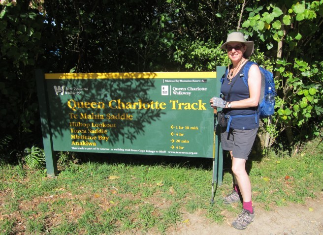 Marlborough Sounds - 12