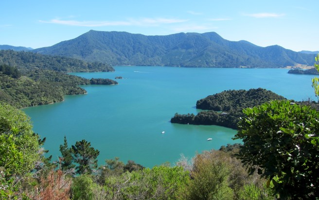 Marlborough Sounds - 13