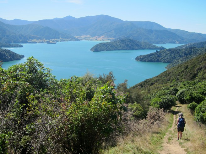 Marlborough Sounds - 18