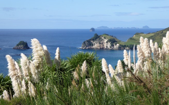 Coromandel Peninsula - 006